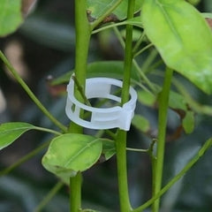 Kit 10 Abraçadeiras para Plantas Cabos Multiuso Reutilizável