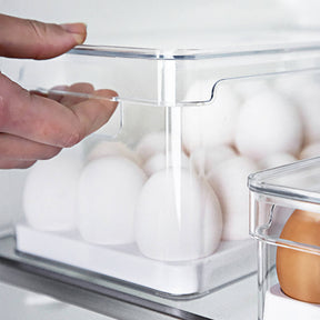 Organizador de ovos com tampa Ou 36un Linha Clear Fresh