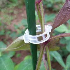 Kit 10 Abraçadeiras para Plantas Cabos Multiuso Reutilizável