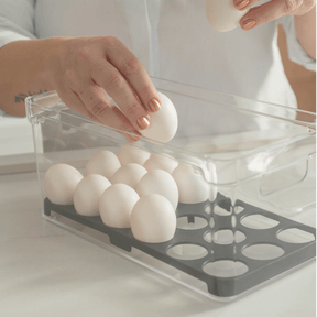 Organizador de ovos com tampa Ou 36un Linha Clear Fresh